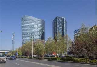 滨湖区写字楼办公室绿化植物